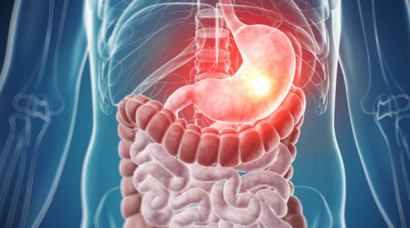 Especialidades Gastroenterologia