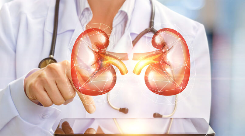 Especialidades Urologia